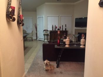 ALLY2015 profile photo