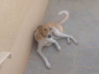 GMarieC profile photo