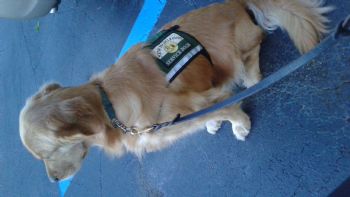 lizcarina29 profile photo