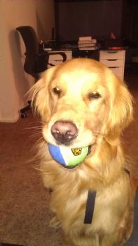 lizcarina29 profile photo