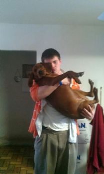 Schaubie profile photo