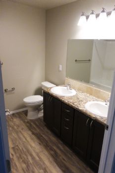 Dustastrous profile photo