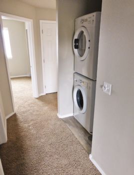 Dustastrous profile photo