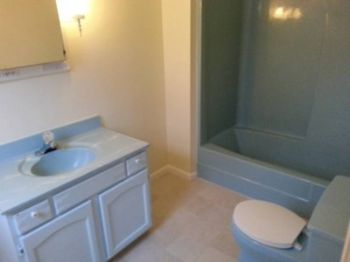 sangelie profile photo