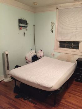 dstou1 profile photo