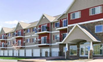 olsonbet profile photo