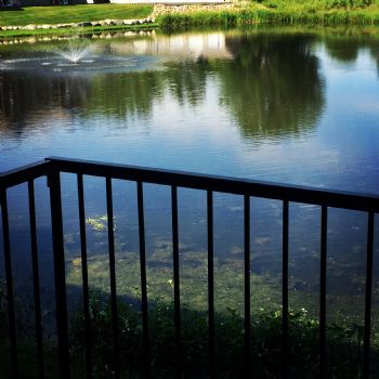 olsonbet profile photo