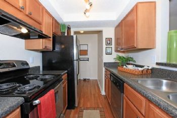 AshBash15 profile photo