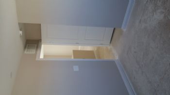 dshorning profile photo