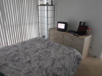 HawaiiBrad profile photo