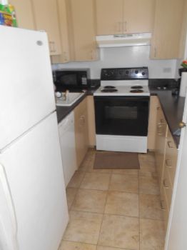 HawaiiBrad profile photo