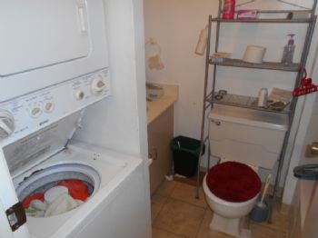 HawaiiBrad profile photo