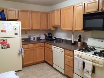 ehettema profile photo