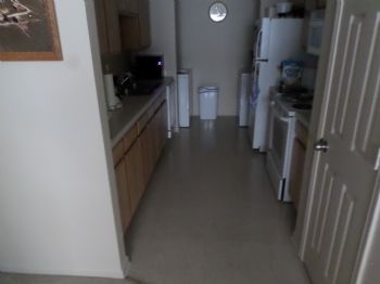 goldenarm profile photo