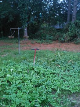 Lockinloaded profile photo