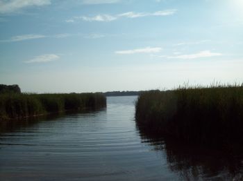 starnorm profile photo