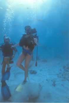 kshowell profile photo