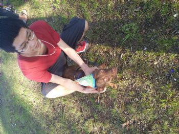 andymui709 profile photo