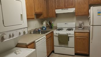 Patricia2015 profile photo