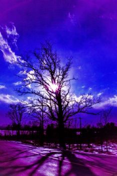 terihoxie profile photo