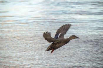 terihoxie profile photo