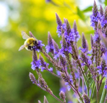 terihoxie profile photo