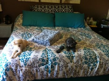 mchristensen profile photo