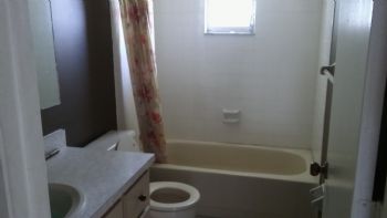 MsLewis profile photo