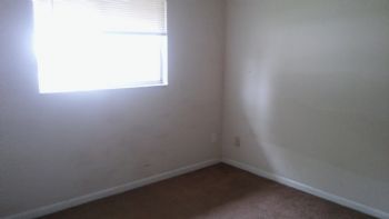 MsLewis profile photo