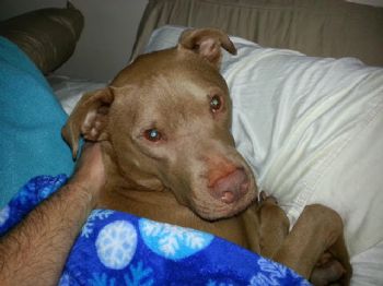 crcottrell profile photo