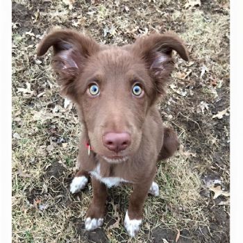 mharned41 profile photo