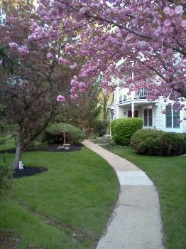 rebkah profile photo