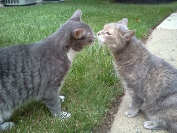 rebkah profile photo