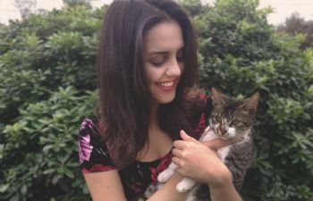 vicozuliani profile photo