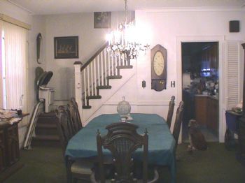 problem profile photo