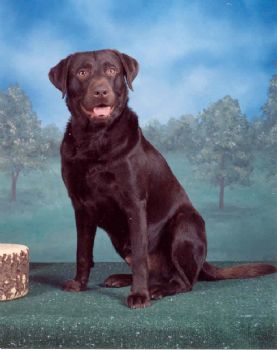 problem profile photo