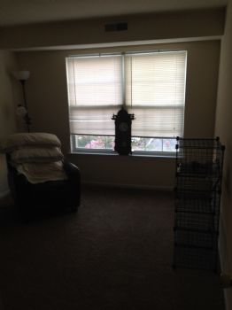 Airman4343 profile photo