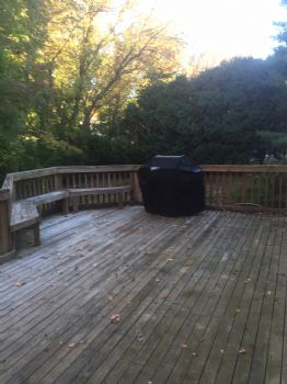 cdymond profile photo