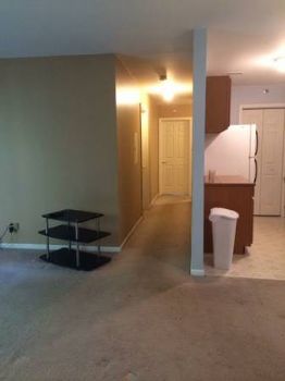 lolog9191 profile photo