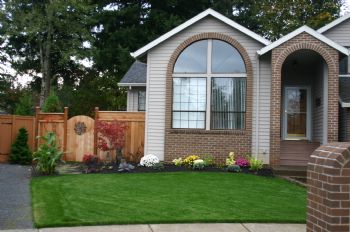 steve8252 profile photo