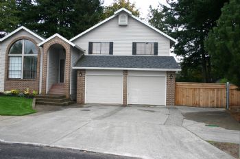 steve8252 profile photo