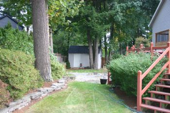 steve8252 profile photo