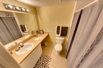 svieira9 profile photo