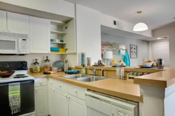 svieira9 profile photo