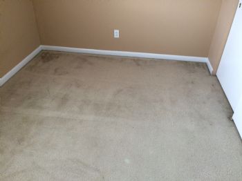 kwzeet profile photo