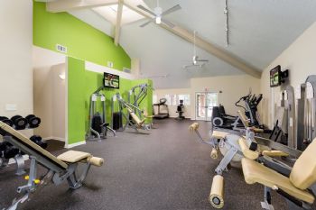 imiosa profile photo