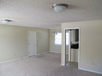 shaylee profile photo