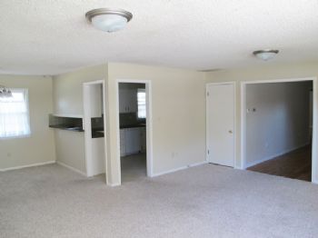 shaylee profile photo