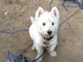 Brian7992 profile photo