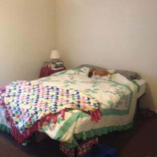 jrice3 profile photo